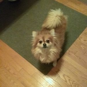 Meet your Posher, Jeanette